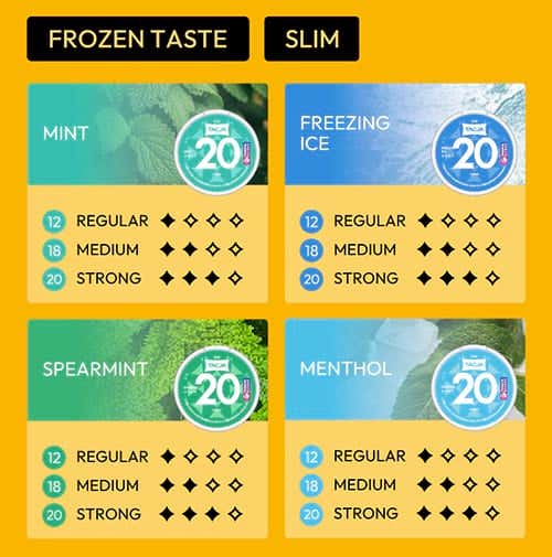 Elf Bar TACJA Nicotine Pouches - Frozen Taste