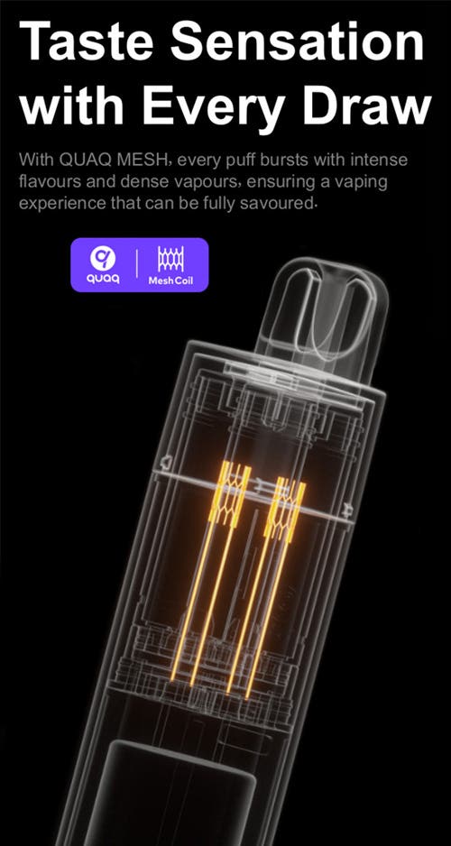 Elf Bar 1200 Prefilled Pod Vape Kit - Taste Sensation with Every Draw