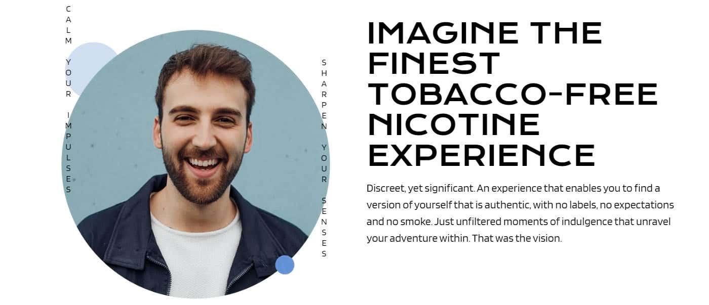 ÜBBS Nicotine Pouches - Finest Tobacco-Free Nicotine Experience