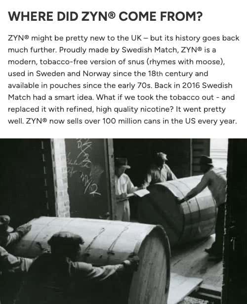 ZYN Nicotine Pouches - Where did ZYN come from?