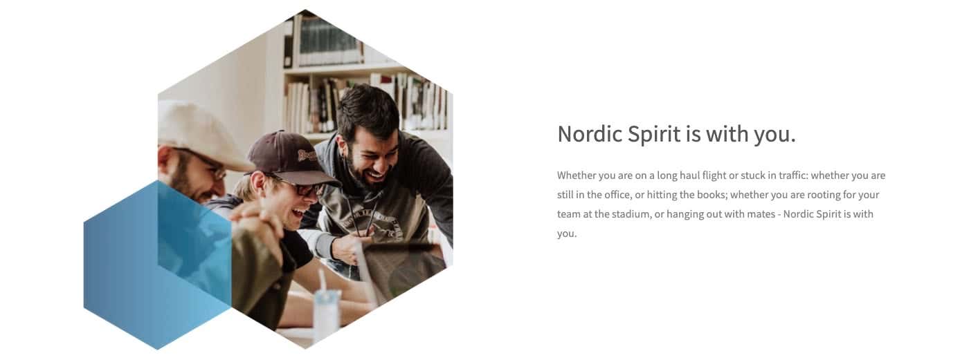 Nordic Spirit Nicotine Pouches - Nordic Spirit is with you