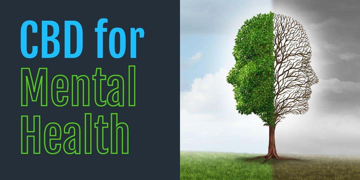 Can CBD be effective at supporting your mental health?