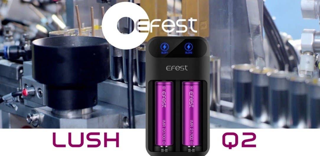 Dual-bay battery charger