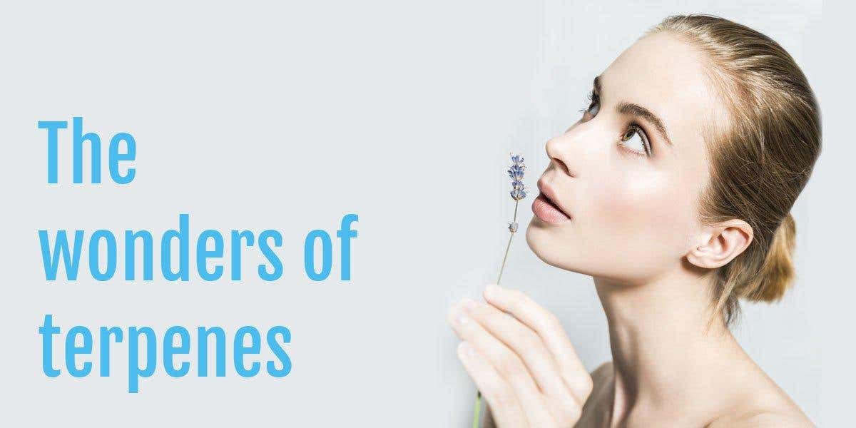 The wonders of terpenes