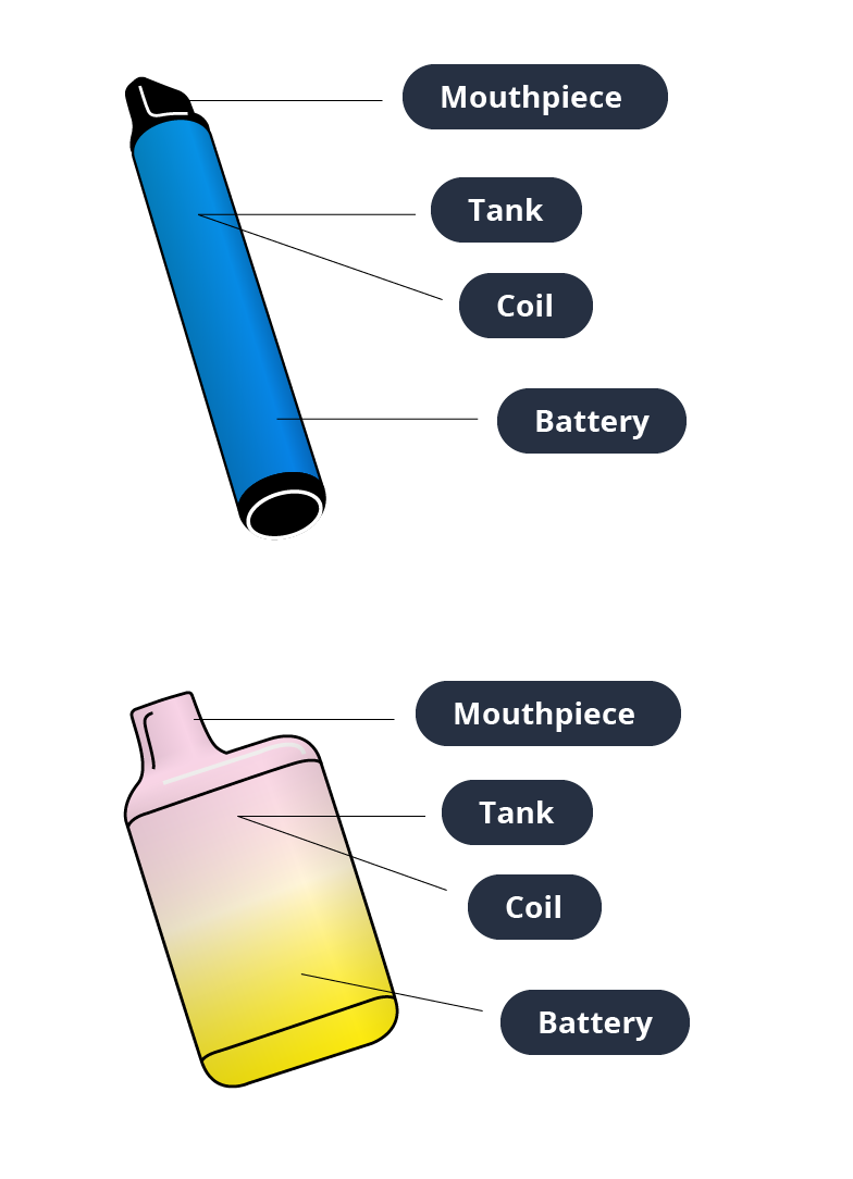 The key components of disposable vape kits.