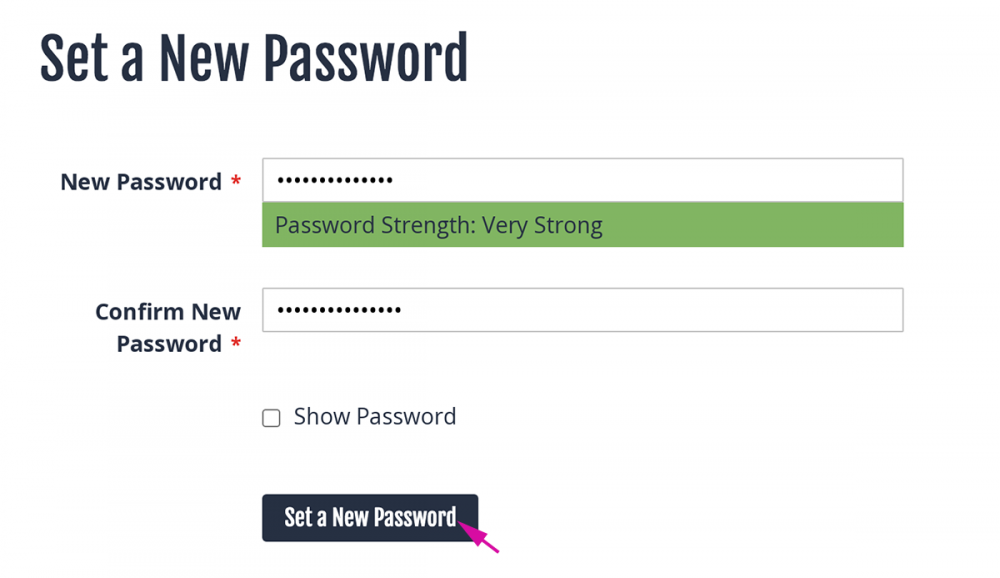 Enter Your New Password