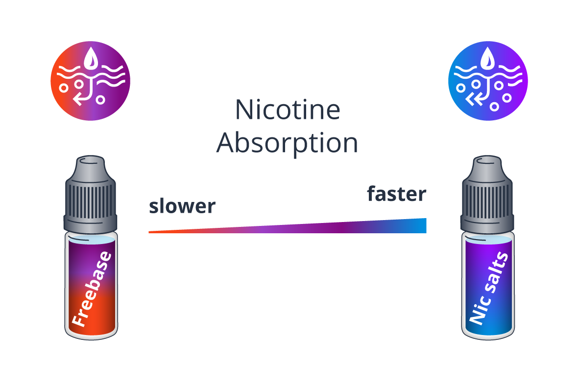 Image showing effects of Freebase and Nic Salts on nicotine absorption